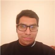 Profesor de inglés y matemáticas a nivel básico para niños y adolescentes